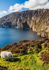 IRLAND - Wild Atlantic Ride